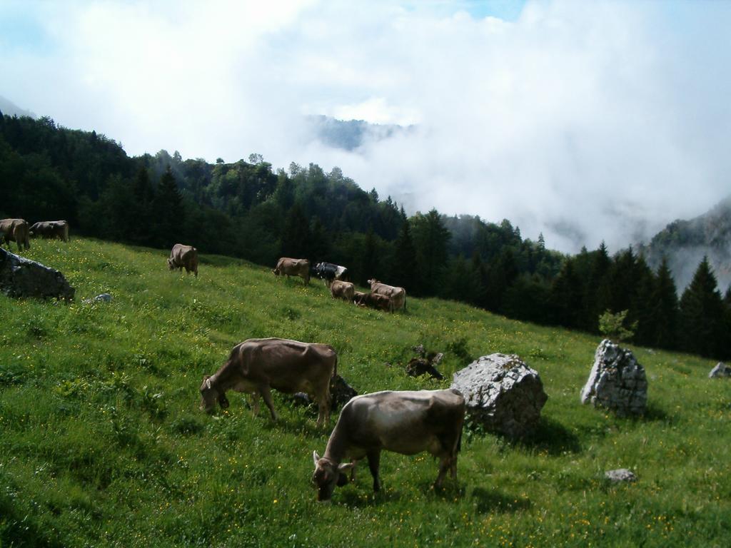 Agriturismo La Zangola Tremosine ภายนอก รูปภาพ